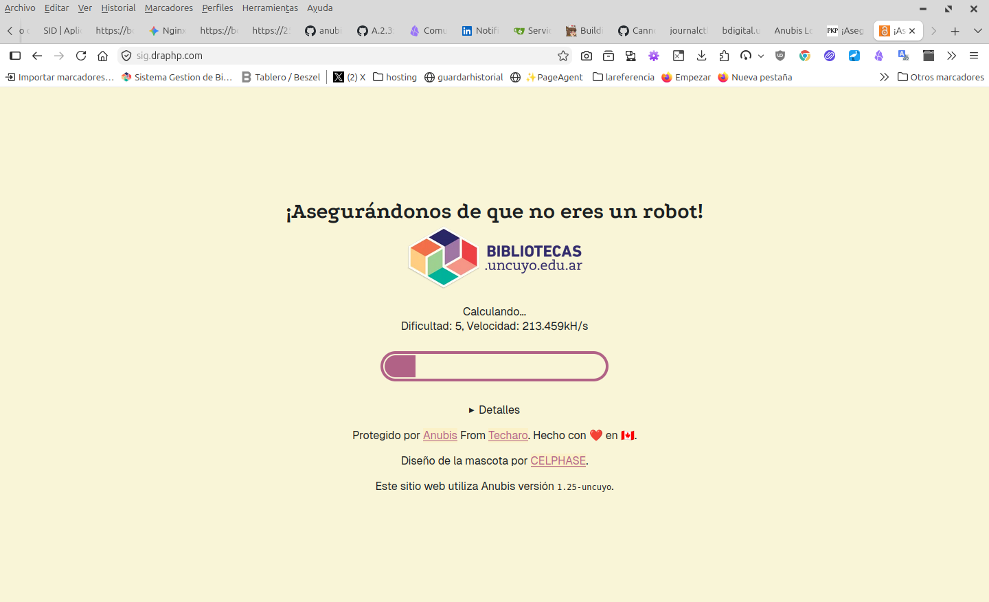Anubis challenge with LA Referencia branding